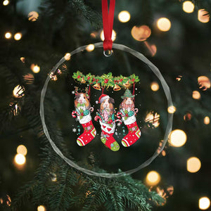 Guinea Pig In Xmas Socks Cute Santa Hat Crystal Glass Ornament TS09 Print Your Wear