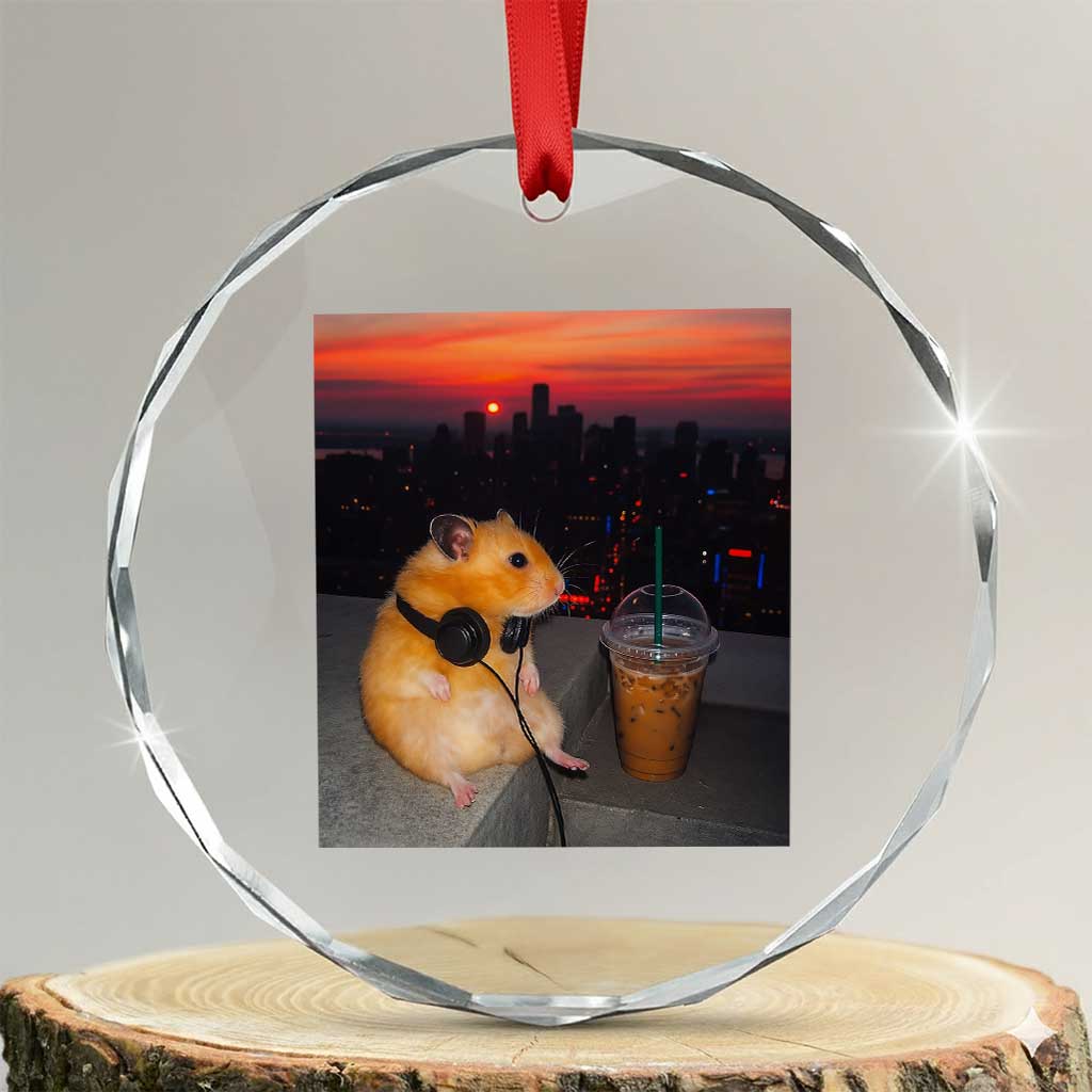 Hamster Drinking Iced Coffee Crystal Glass Ornament Funny Animal Chill City Sunset Headphones TS14 Transparent Glass 3'' Circle Print Your Wear