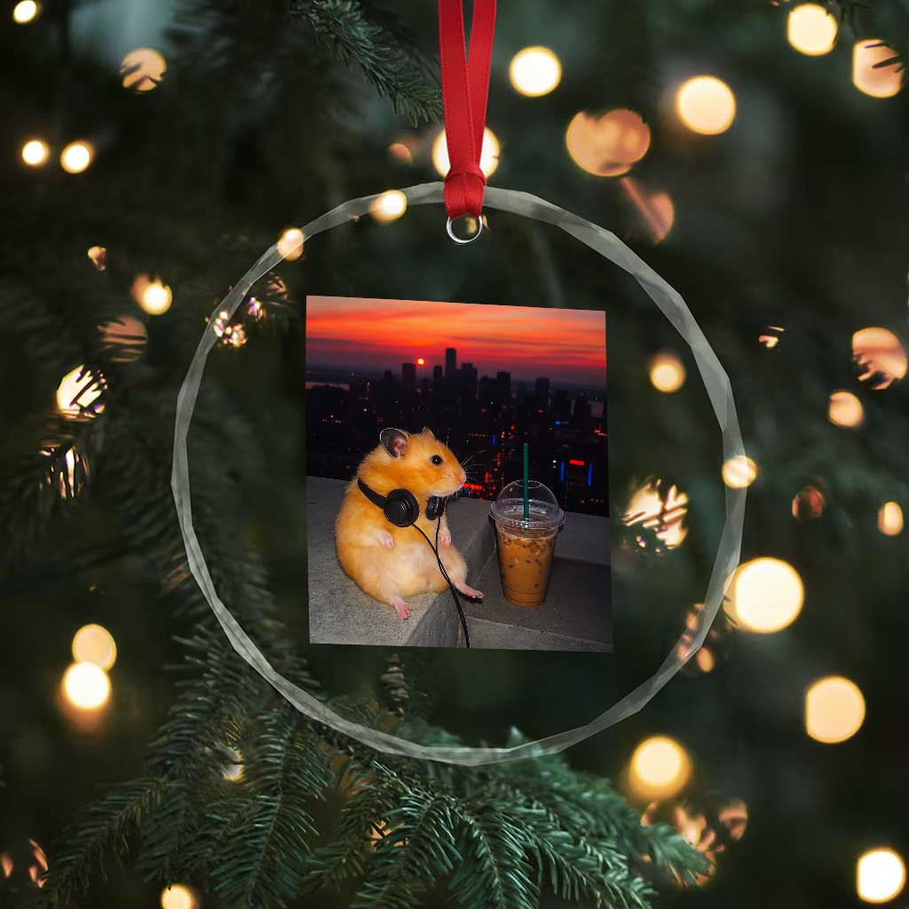 Hamster Drinking Iced Coffee Crystal Glass Ornament Funny Animal Chill City Sunset Headphones TS14 Print Your Wear