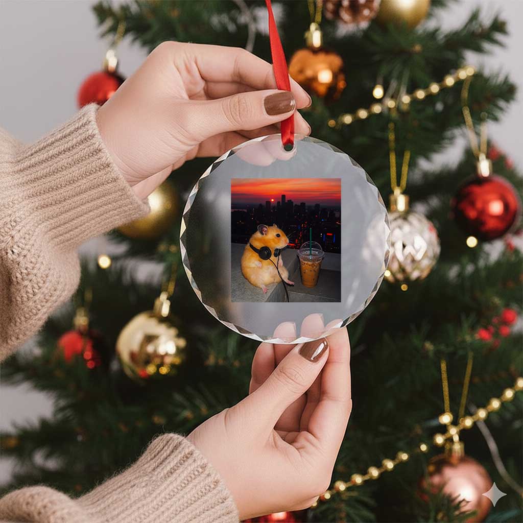 Hamster Drinking Iced Coffee Crystal Glass Ornament Funny Animal Chill City Sunset Headphones TS14 Print Your Wear