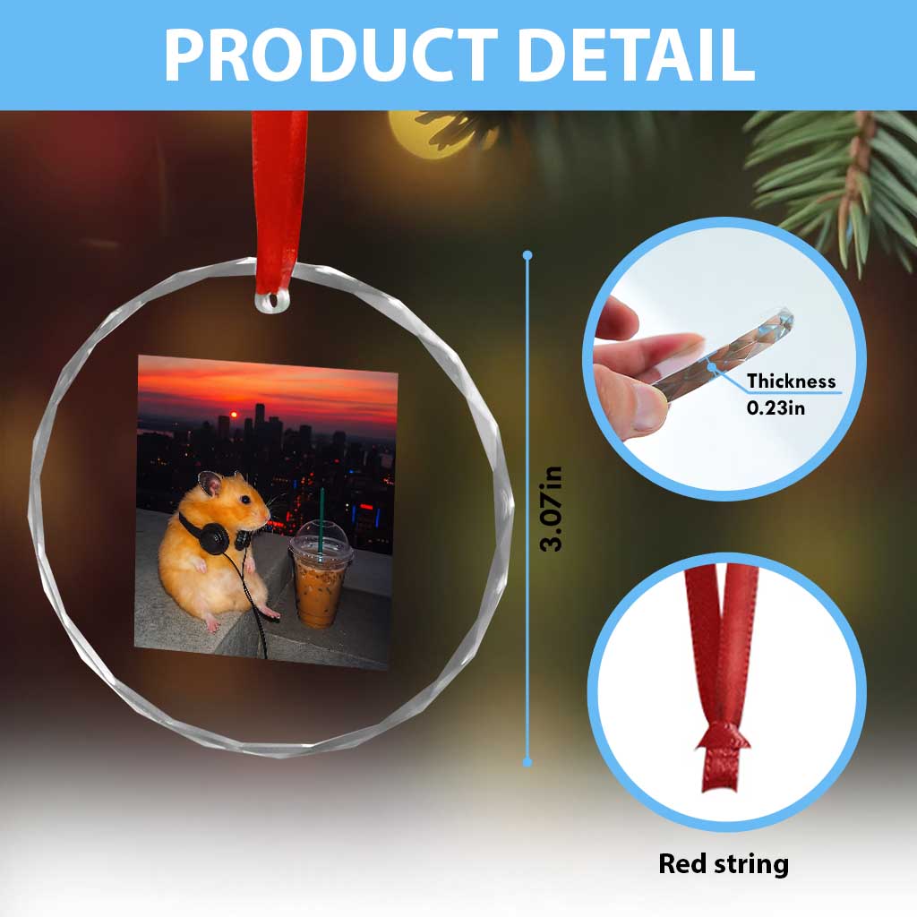 Hamster Drinking Iced Coffee Crystal Glass Ornament Funny Animal Chill City Sunset Headphones TS14 Print Your Wear