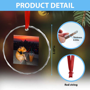 Hamster Drinking Iced Coffee Crystal Glass Ornament Funny Animal Chill City Sunset Headphones TS14 Print Your Wear