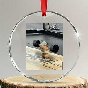 Hamster Gym Crystal Glass Ornament Funny Rat Workout Weightlifting Pump Cover TS10 Transparent Glass 3'' Circle Print Your Wear