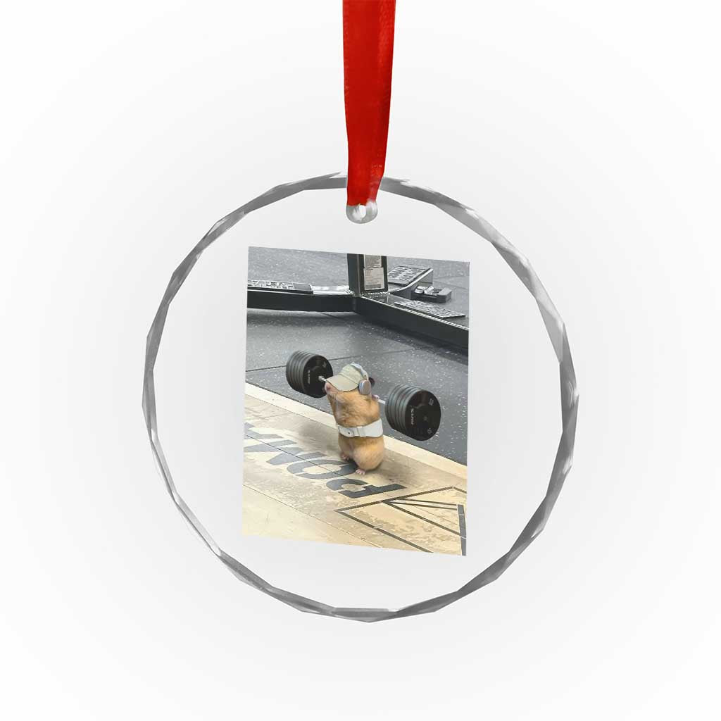 Hamster Gym Crystal Glass Ornament Funny Rat Workout Weightlifting Pump Cover TS10 Print Your Wear