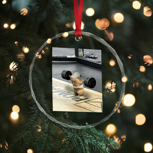 Hamster Gym Crystal Glass Ornament Funny Rat Workout Weightlifting Pump Cover TS10 Print Your Wear