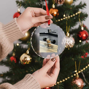 Hamster Gym Crystal Glass Ornament Funny Rat Workout Weightlifting Pump Cover TS10 Print Your Wear