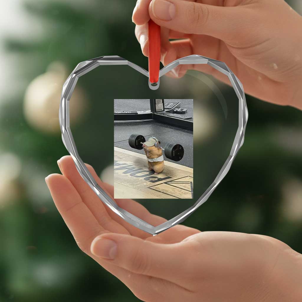 Hamster Gym Heart Crystal Glass Ornament Funny Rat Workout Weightlifting Pump Cover TS10 Print Your Wear