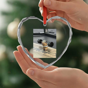 Hamster Gym Heart Crystal Glass Ornament Funny Rat Workout Weightlifting Pump Cover TS10 Print Your Wear