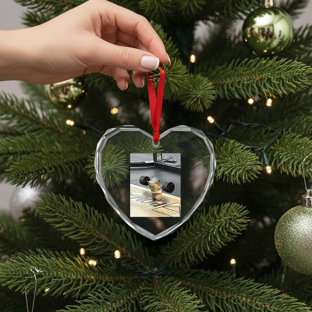 Hamster Gym Heart Crystal Glass Ornament Funny Rat Workout Weightlifting Pump Cover TS10 Print Your Wear