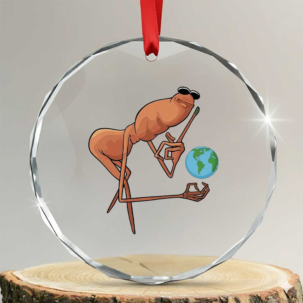 Happy Earth Day Crystal Glass Ornament Funny Marcus The Worm Eco Friendly TS14 Transparent Glass 3'' Circle Print Your Wear