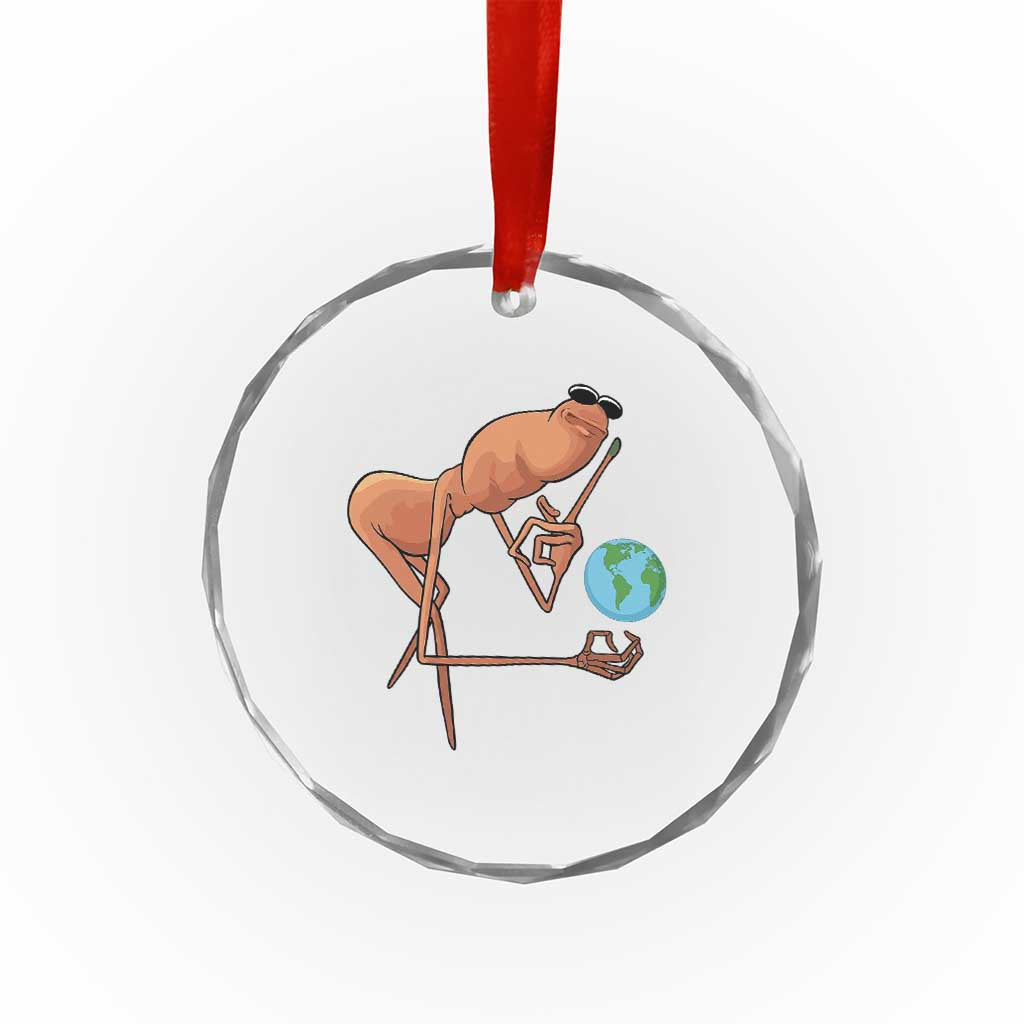 Happy Earth Day Crystal Glass Ornament Funny Marcus The Worm Eco Friendly TS14 Print Your Wear