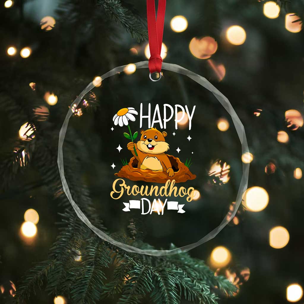 Happy Groundhog Day Crystal Glass Ornament Punxsutawney Phil Groundhog Lover TS02 Print Your Wear