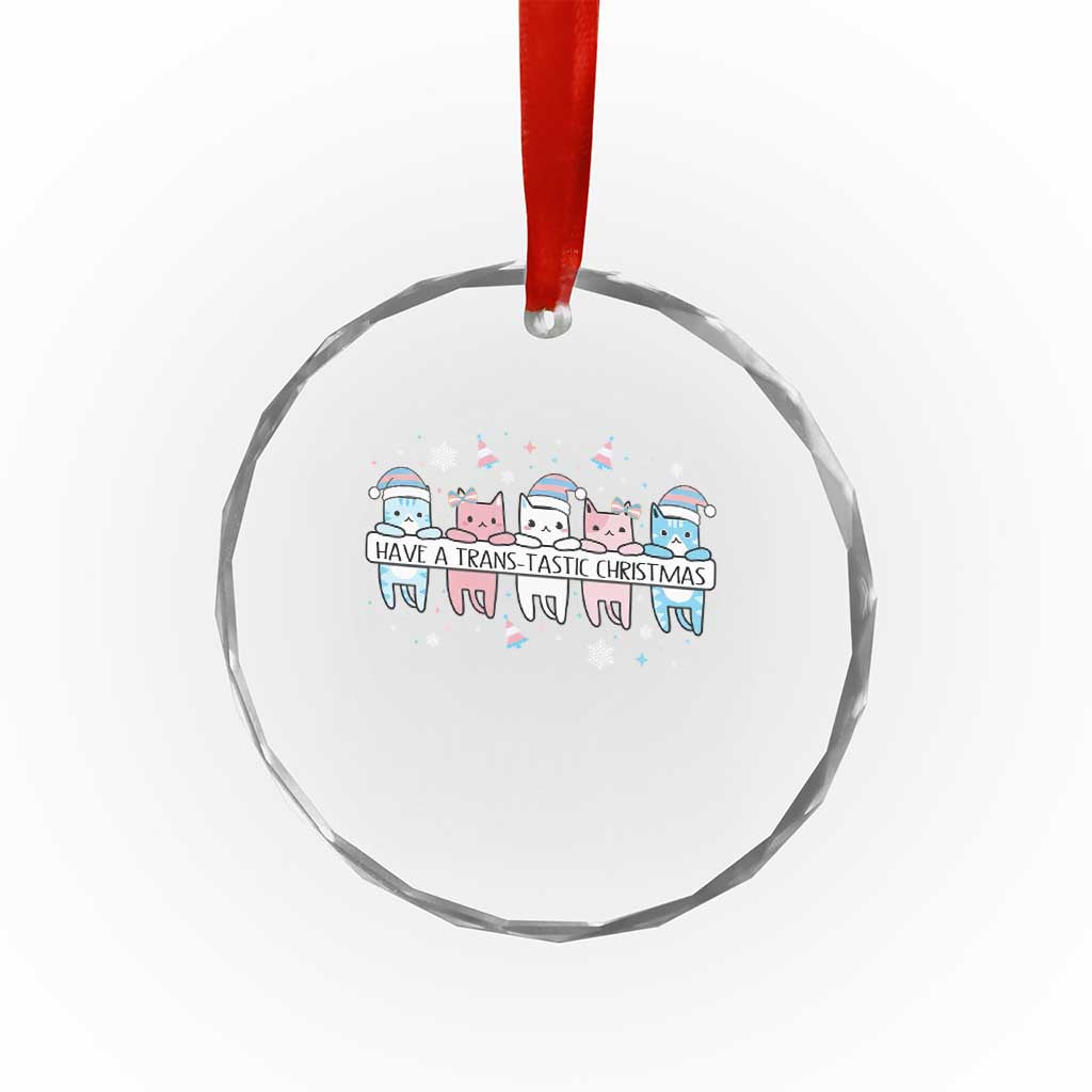 Have A Trans Tastic Christmas Gift Crystal Glass Ornament LGBTQ Cat Lover TS12 Print Your Wear