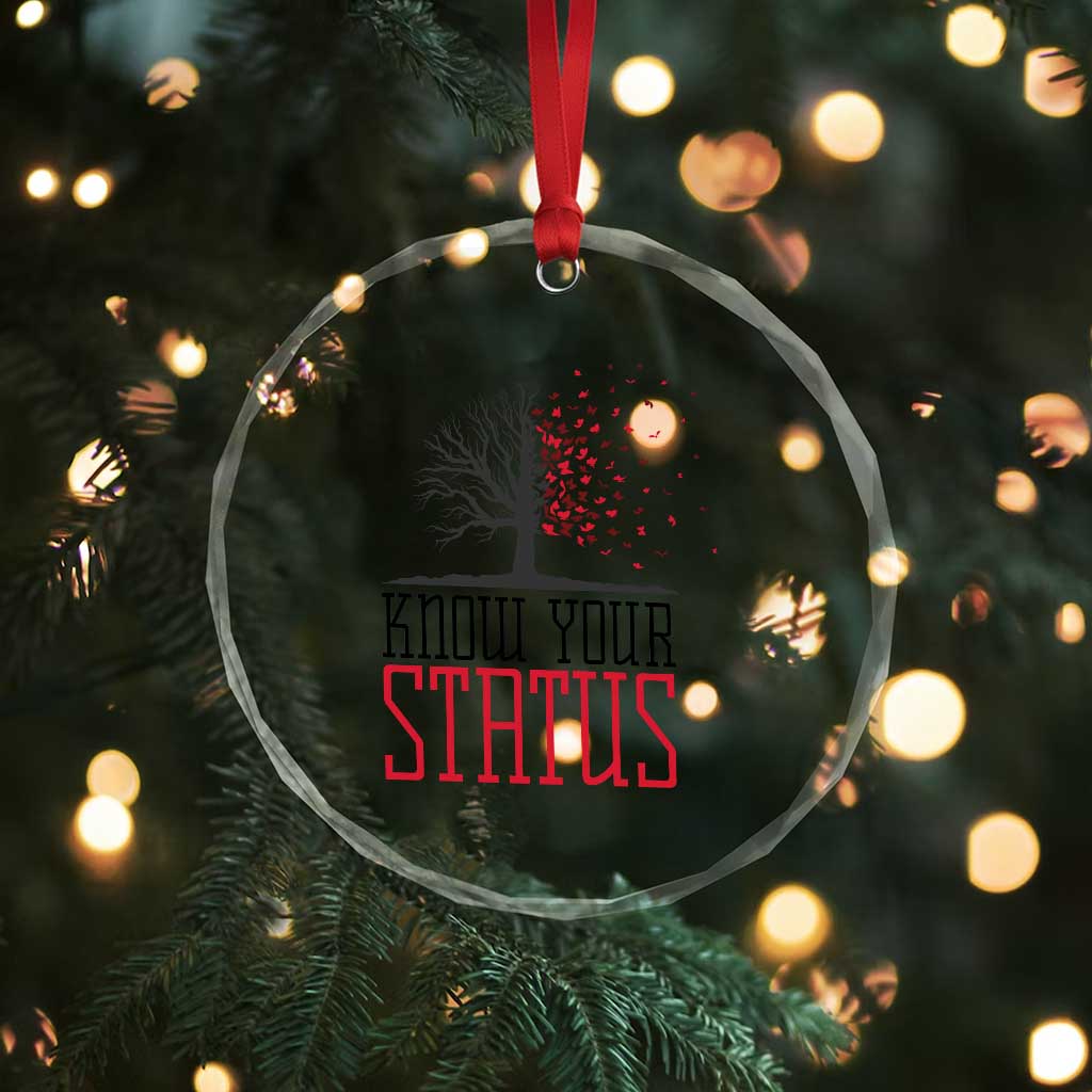 HIV Awareness Month Crystal Glass Ornament Know Your Status Prevention Support Gift TS12 Print Your Wear
