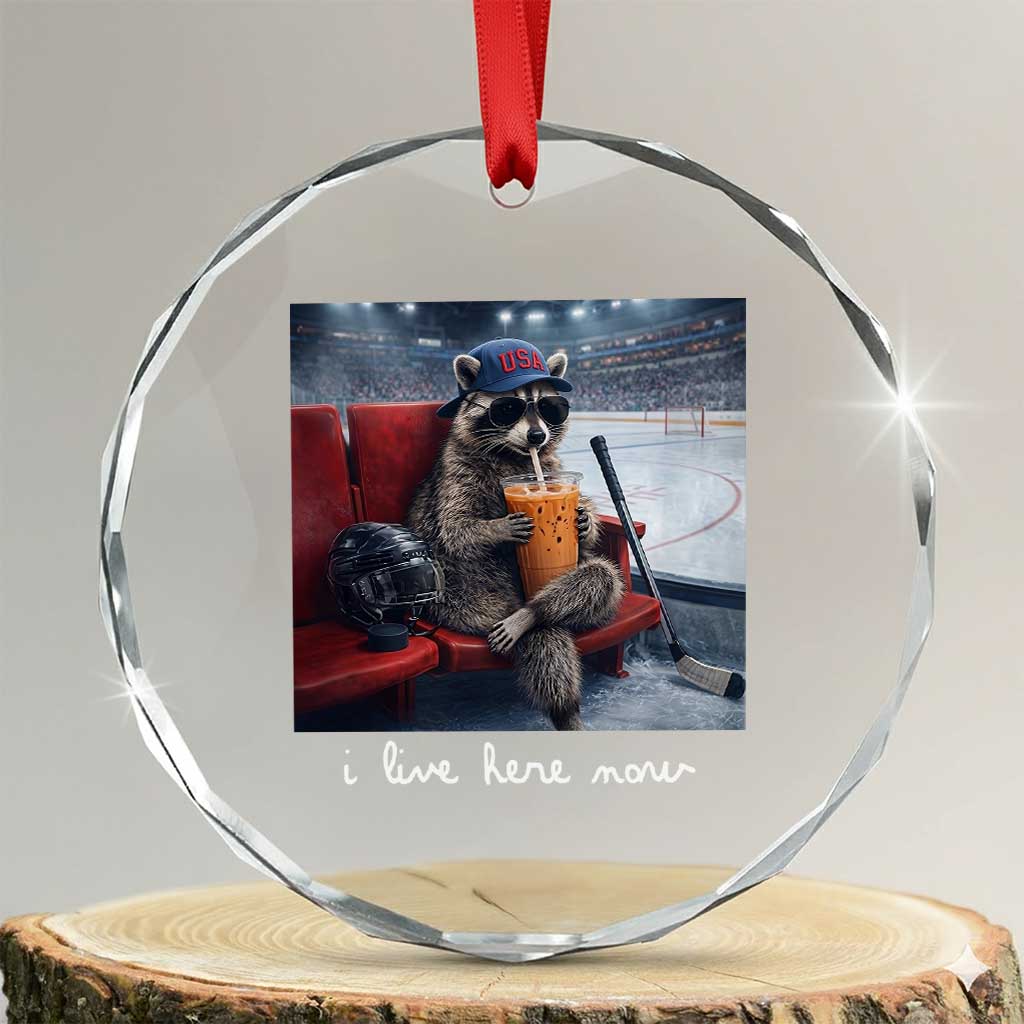 Hockey Mom Raccoon Iced Coffee Crystal Glass Ornament I Live Here Now TS14 Transparent Glass 3'' Circle Print Your Wear