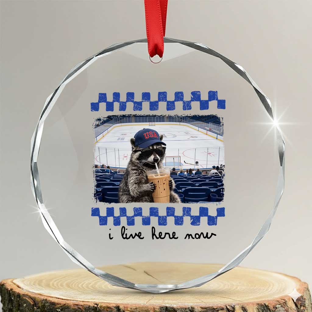 Hockey Mom Raccoon Iced Coffee Crystal Glass Ornament I Live Here Now TS14 Transparent Glass 3'' Circle Print Your Wear