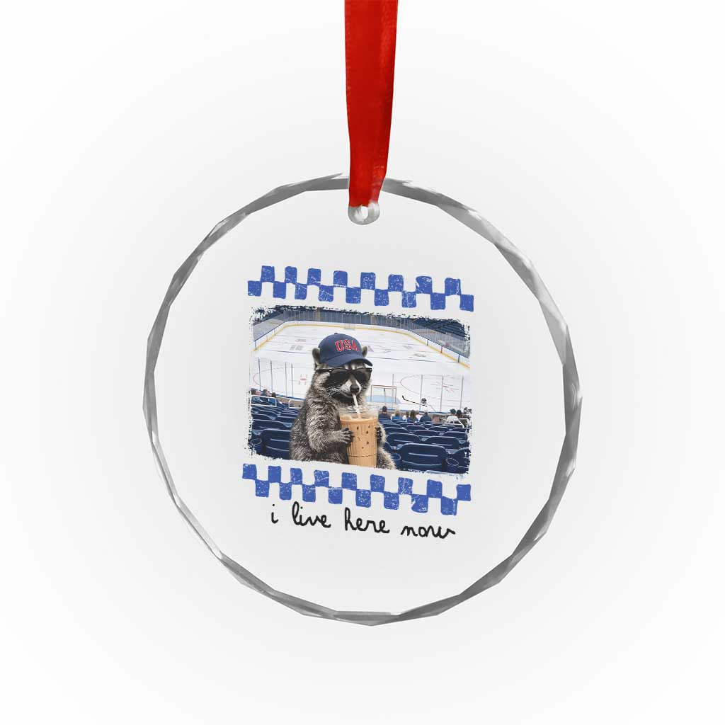 Hockey Mom Raccoon Iced Coffee Crystal Glass Ornament I Live Here Now TS14 Print Your Wear