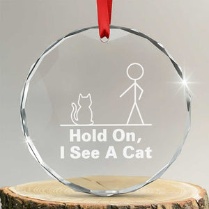 Hold On I See A Cat Crystal Glass Ornament Funny Cat Person Stick Figure Graphic TS10 Transparent Glass 3'' Circle Print Your Wear
