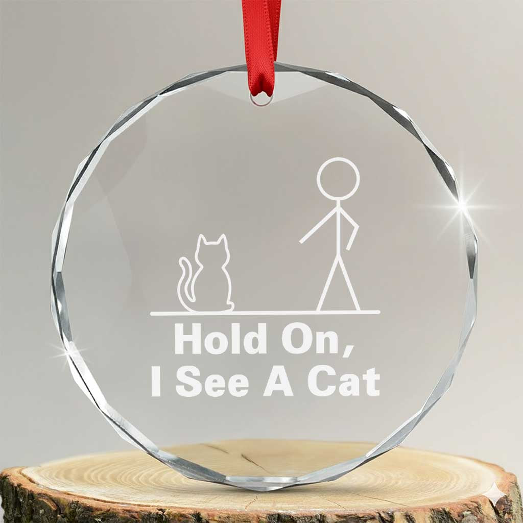 Hold On I See A Cat Crystal Glass Ornament Funny Cat Person Stick Figure Graphic TS10 Transparent Glass 3'' Circle Print Your Wear