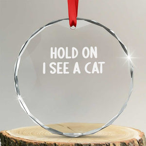 Hold On I See A Cat Crystal Glass Ornament Funny Pet Parent Humor Cat Person TS10 Transparent Glass 3'' Circle Print Your Wear