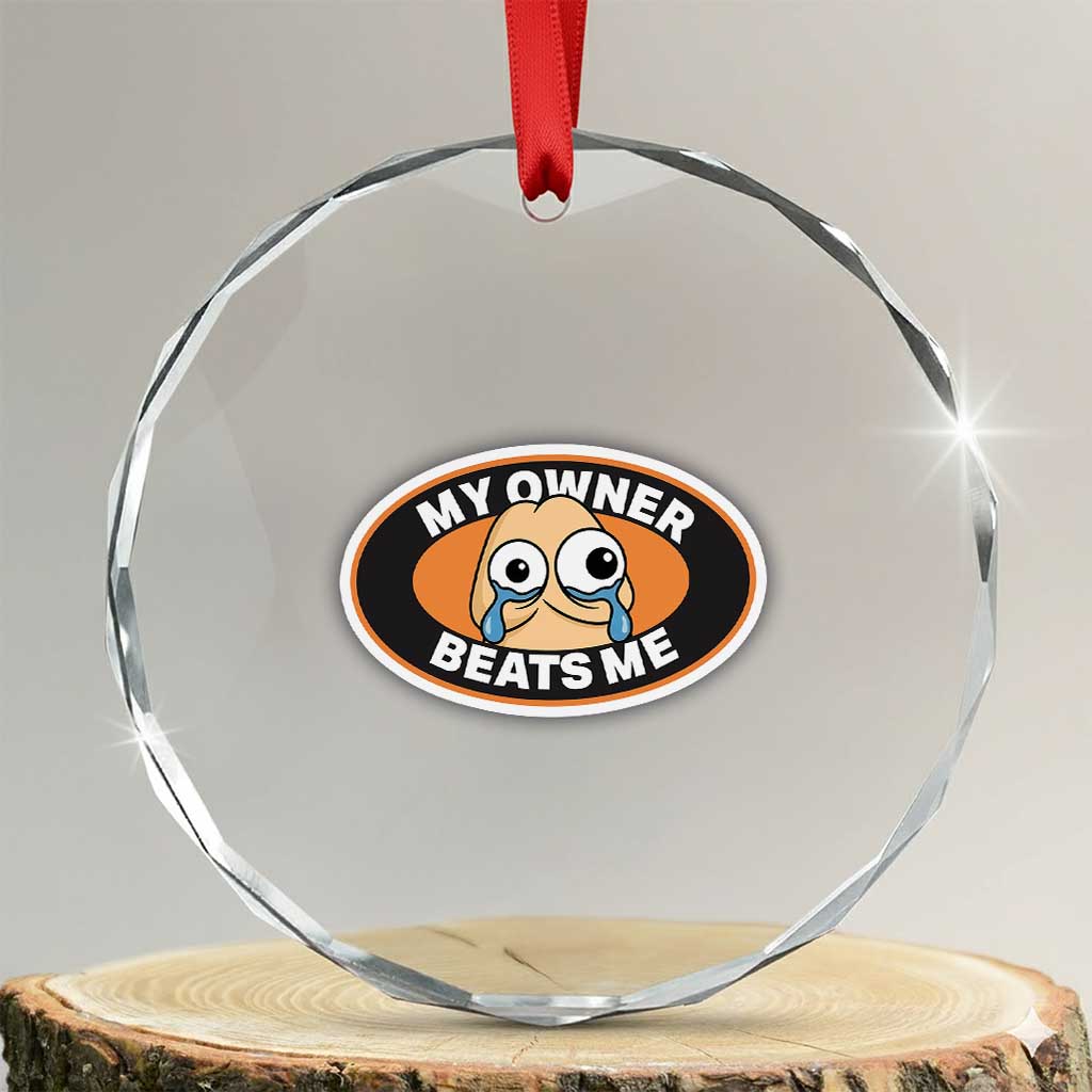 Humorous Dark Humor Crystal Glass Ornament My Owner Beats Me TS12 Transparent Glass 3'' Circle Print Your Wear