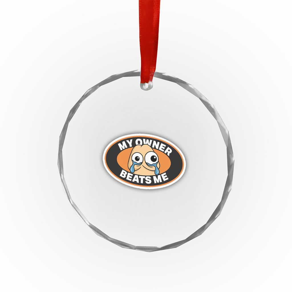 Humorous Dark Humor Crystal Glass Ornament My Owner Beats Me TS12 Print Your Wear