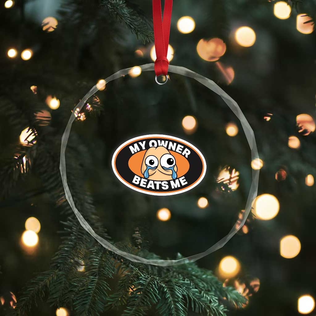 Humorous Dark Humor Crystal Glass Ornament My Owner Beats Me TS12 Print Your Wear