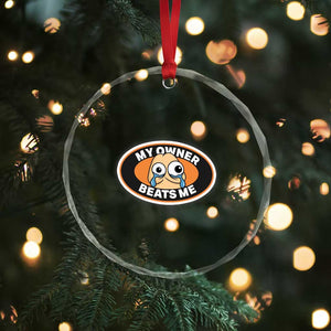 Humorous Dark Humor Crystal Glass Ornament My Owner Beats Me TS12 Print Your Wear