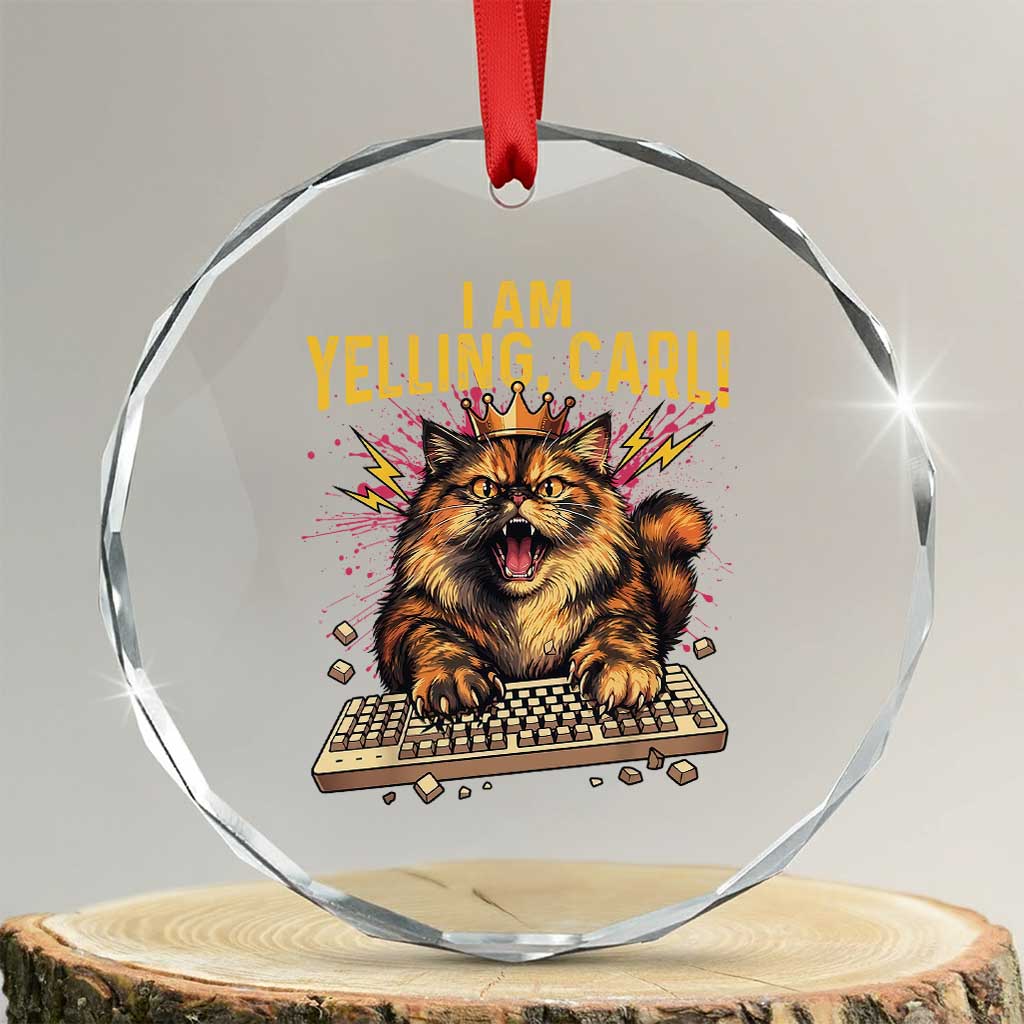 I Am Yelling Carl Graphic Crystal Glass Ornament Funny Angry Cat Typing Keyboard Comic Retro TS02 Transparent Glass 3'' Circle Print Your Wear