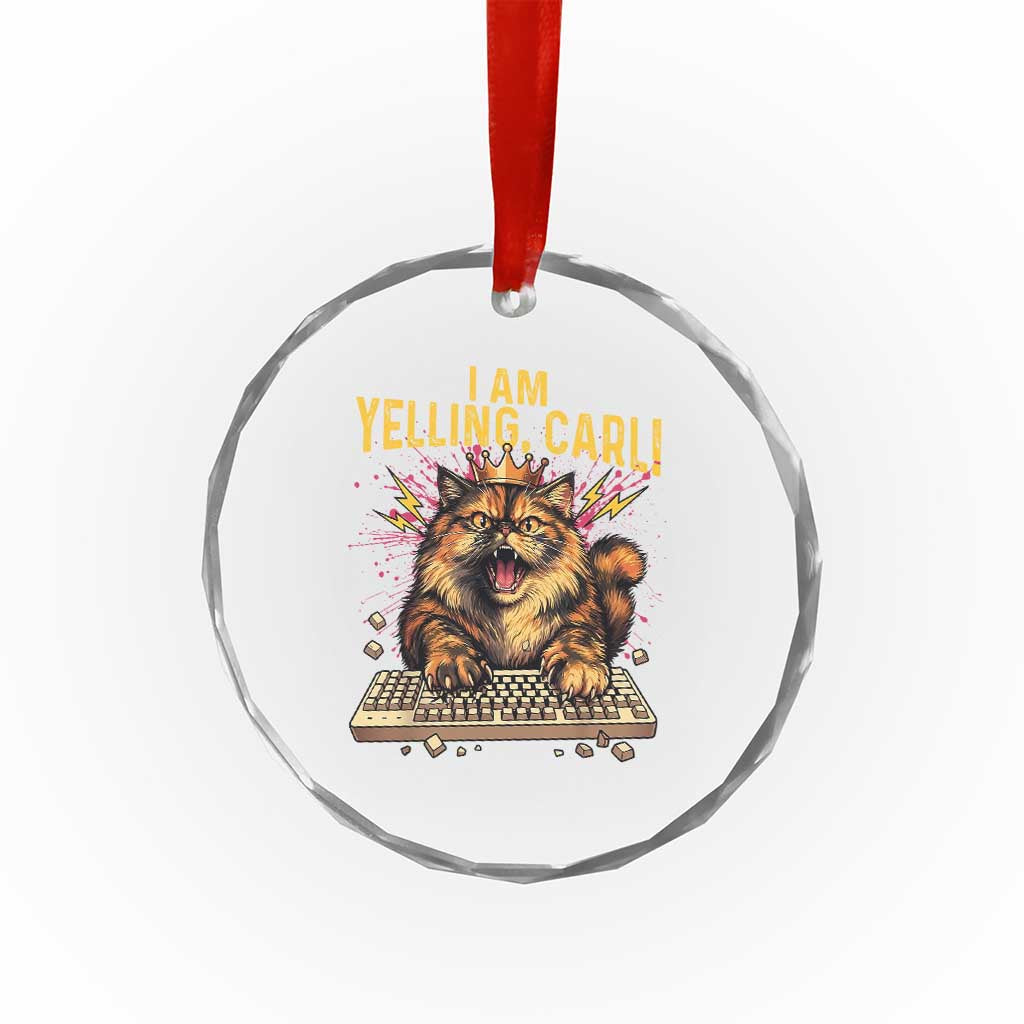 I Am Yelling Carl Graphic Crystal Glass Ornament Funny Angry Cat Typing Keyboard Comic Retro TS02 Print Your Wear