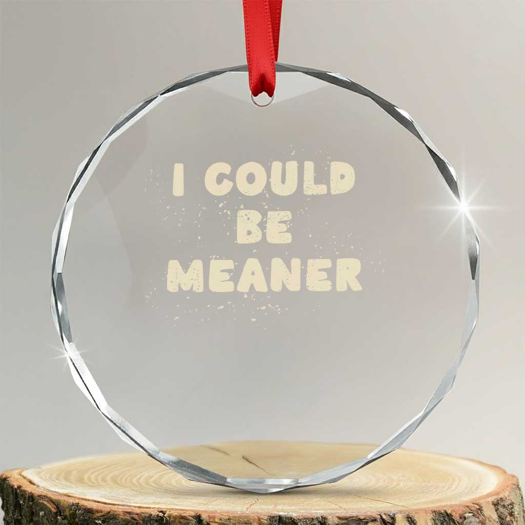 I Could Be Meaner Crystal Glass Ornament Vintage Retro Funny Apparel Meme TS10 Transparent Glass 3'' Circle Print Your Wear