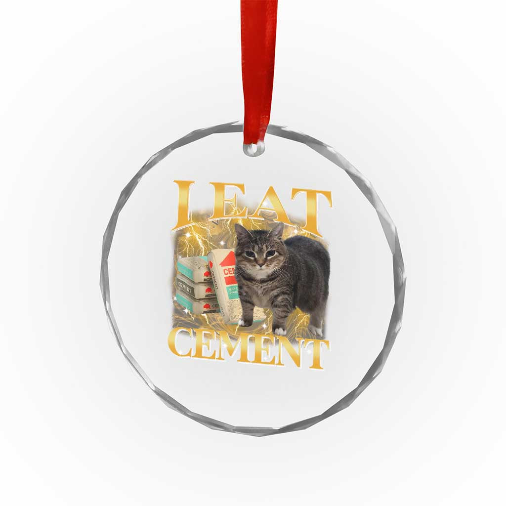 I Eat Cement Cat Meme Crystal Glass Ornament Funny Internet Memes Bootleg Cursed Cat Lovers TS10 Print Your Wear