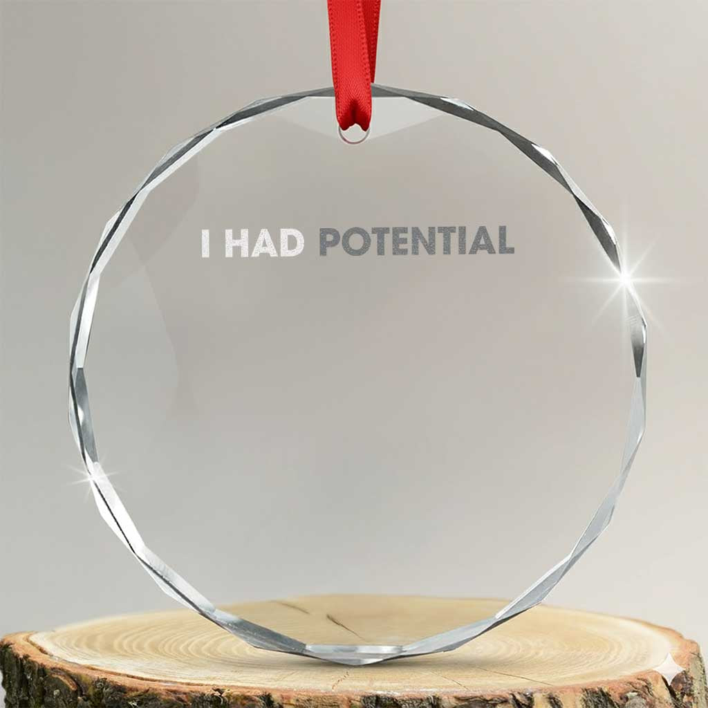 I Had Potential Crystal Glass Ornament Physics Science Teacher Humor TS11 Transparent Glass 3'' Circle Print Your Wear