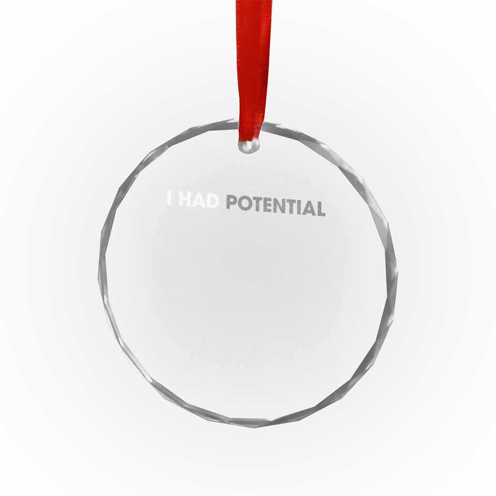 I Had Potential Crystal Glass Ornament Physics Science Teacher Humor TS11 Print Your Wear