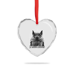 I Have Rabies Bat Heart Crystal Glass Ornament Funny Meme Quotes Gothic TS11 Print Your Wear