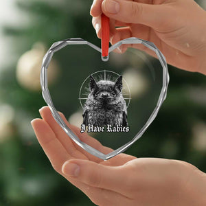 I Have Rabies Bat Heart Crystal Glass Ornament Funny Meme Quotes Gothic TS11 Print Your Wear