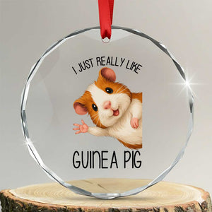 I Just Really Like Guinea Pigs Crystal Glass Ornament Funny Cavy Lover TS12 Transparent Glass 3'' Circle Print Your Wear