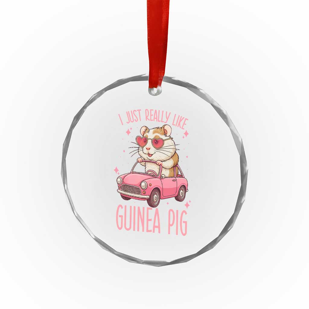 I Just Really Like Guinea Pigs Crystal Glass Ornament Pet Lover Gift For Girl TS12 Print Your Wear