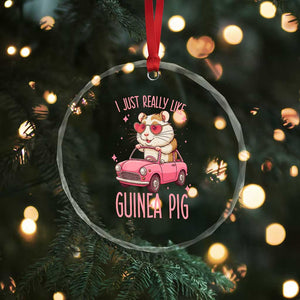 I Just Really Like Guinea Pigs Crystal Glass Ornament Pet Lover Gift For Girl TS12 Print Your Wear
