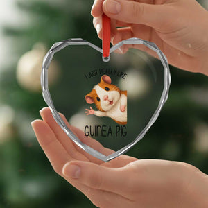 I Just Really Like Guinea Pigs Heart Crystal Glass Ornament Funny Cavy Lover TS12 Print Your Wear