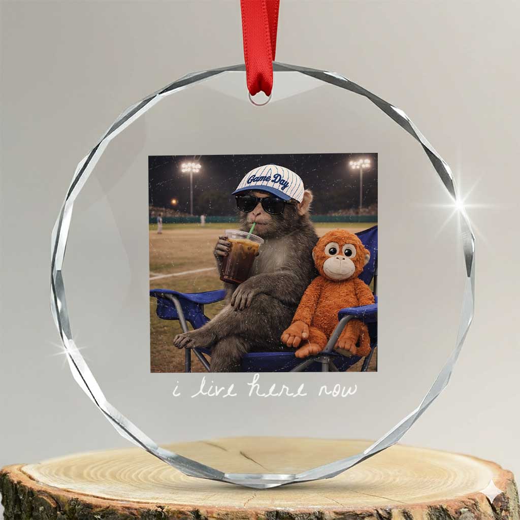 I Live Here Now Punch Monkey Crystal Glass Ornament Funny Drinking Iced Coffee Baseball Field TS14 Transparent Glass 3'' Circle Print Your Wear