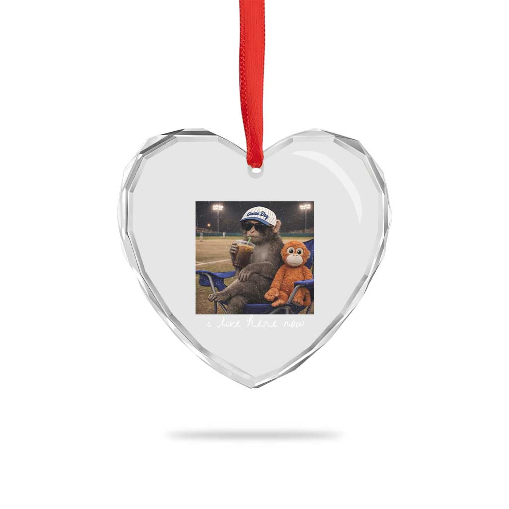 I Live Here Now Punch Monkey Heart Crystal Glass Ornament Funny Drinking Iced Coffee Baseball Field TS14 Print Your Wear