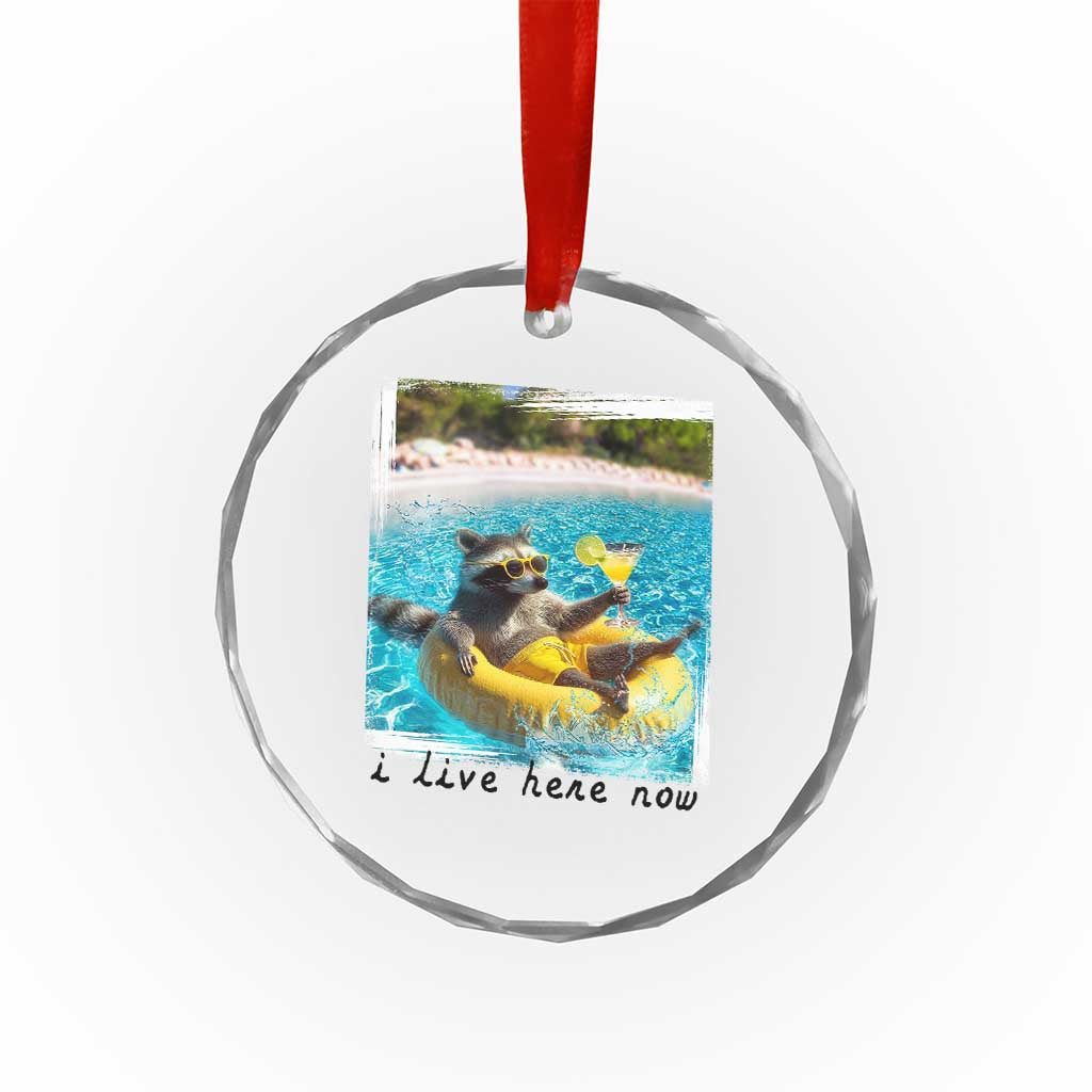 I Live Here Now Raccoon Crystal Glass Ornament Funny Summer Vacation Meme TS14 Print Your Wear