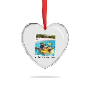 I Live Here Now Raccoon Heart Crystal Glass Ornament Funny Summer Vacation Meme TS14 Print Your Wear