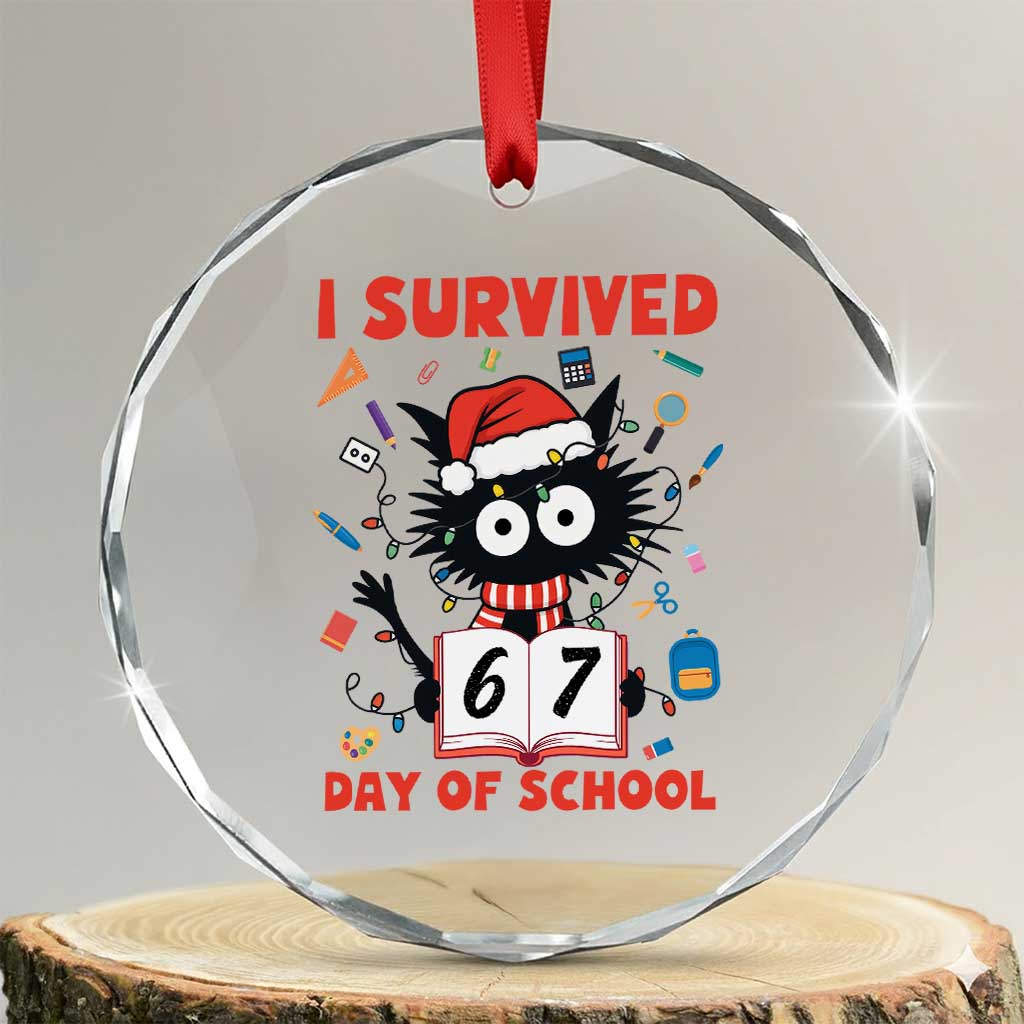 I Survived 67 Days Of School Cat Meme Crystal Glass Ornament Funny Christmas Six Seven Meme TS14 Transparent Glass 3'' Circle Print Your Wear