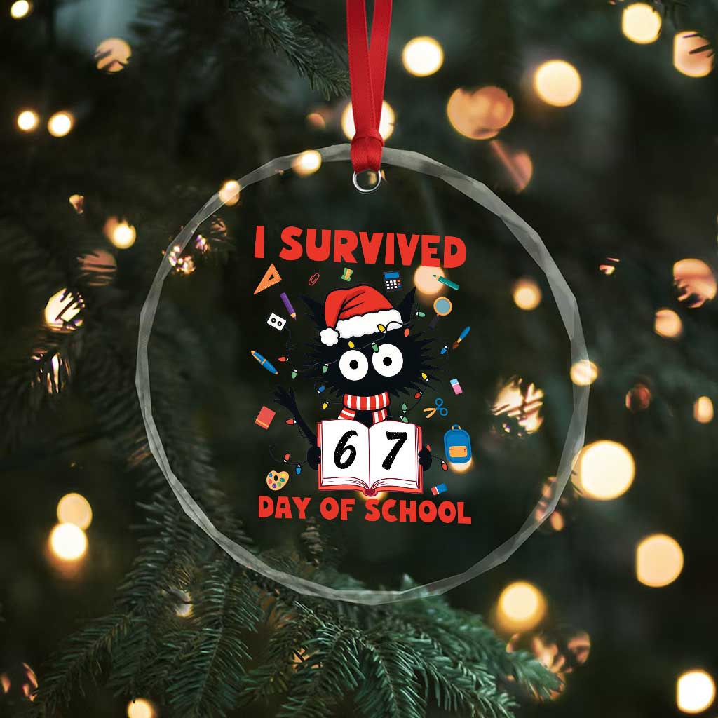 I Survived 67 Days Of School Cat Meme Crystal Glass Ornament Funny Christmas Six Seven Meme TS14 Print Your Wear