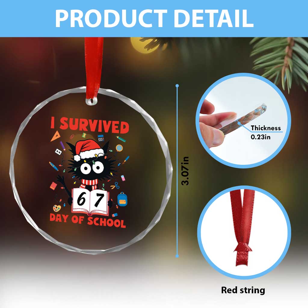 I Survived 67 Days Of School Cat Meme Crystal Glass Ornament Funny Christmas Six Seven Meme TS14 Print Your Wear