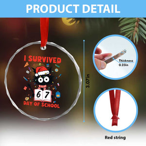 I Survived 67 Days Of School Cat Meme Crystal Glass Ornament Funny Christmas Six Seven Meme TS14 Print Your Wear