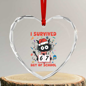 I Survived 67 Days Of School Cat Meme Heart Crystal Glass Ornament Funny Christmas Six Seven Meme TS14 Transparent Glass 3'' Heart Print Your Wear