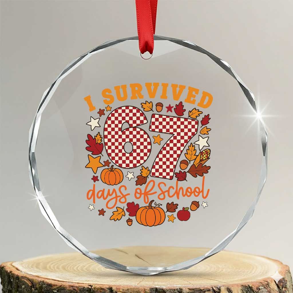 I Survived 67 Days of School Crystal Glass Ornament Autumn Fall Leaves Back To School TS02 Transparent Glass 3'' Circle Print Your Wear